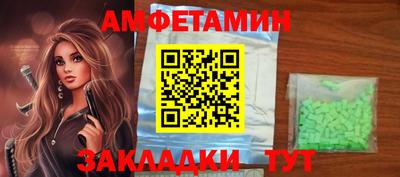 стаф Гатчина