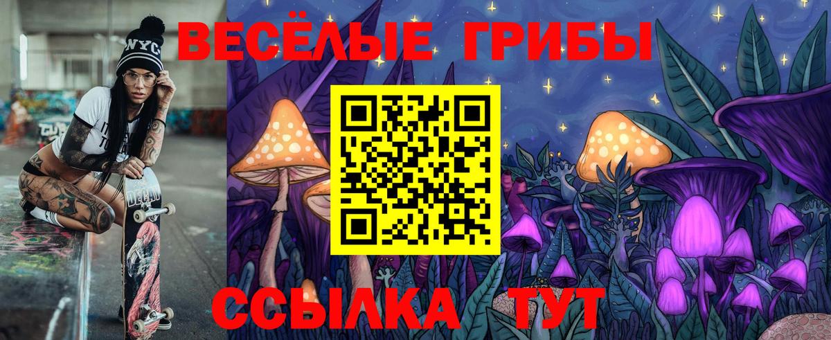 Галлюциногенные грибы мухоморы Бийск