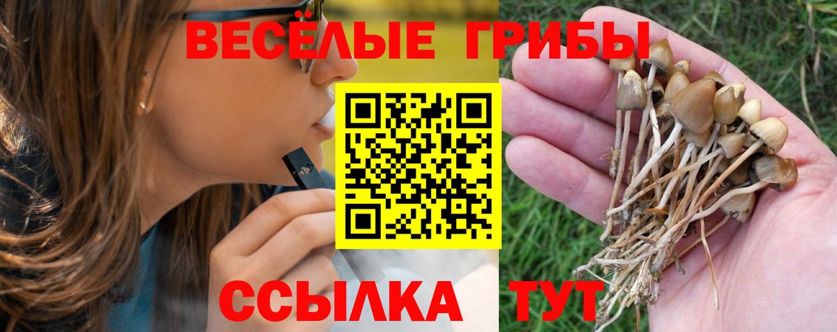 Псилоцибиновые грибы Psilocybe  Галлюциногенные грибы Psilocybe  Бийск  Вход с VPN 